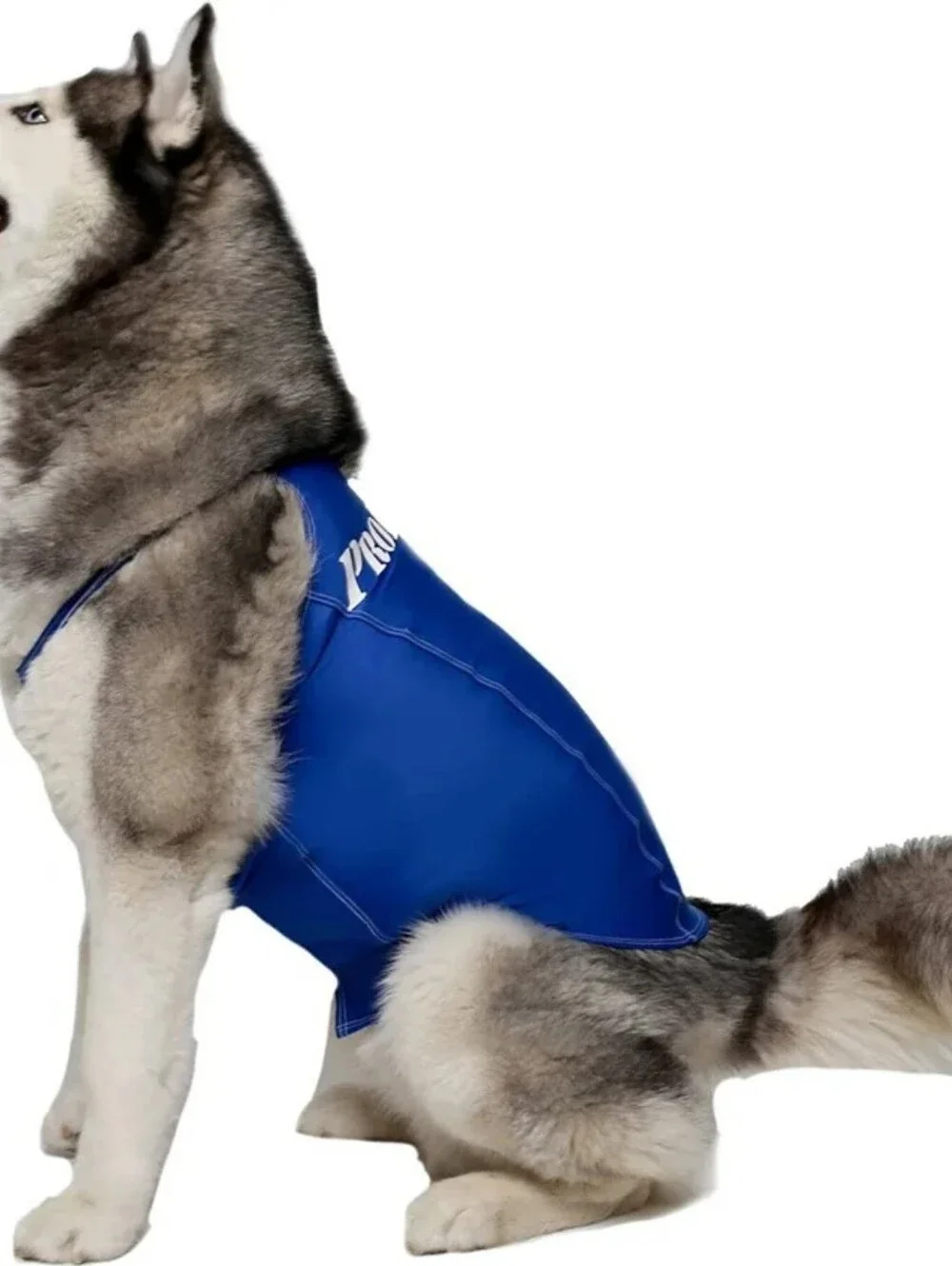 PRO DOGG COMPRESSION ANTIETY SHIRT FOR DOGS SZ 2XL